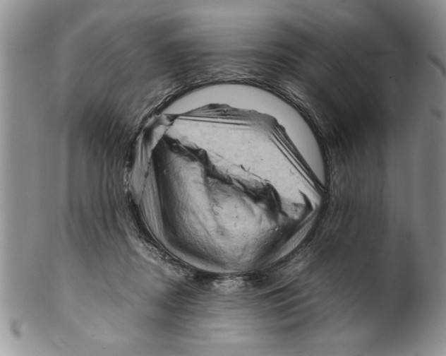 X0000099530362200806131132