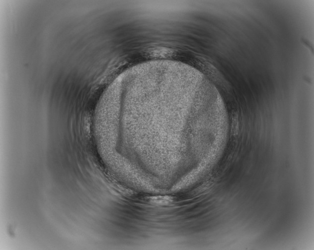 X0000099530363200806131132