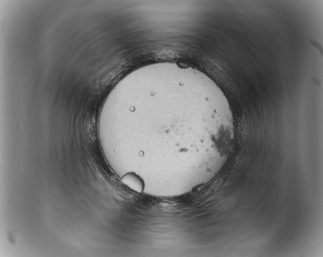 X0000099530364200806131132