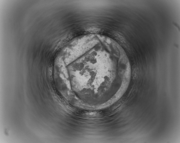 X0000099530365200806131132