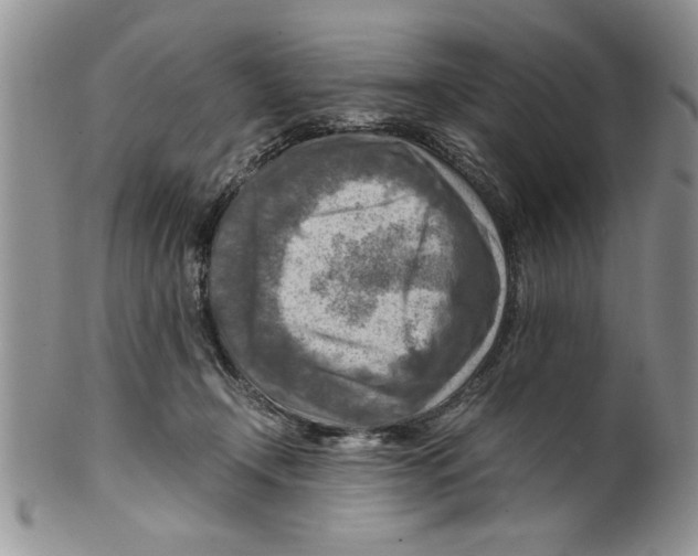 X0000099530366200806131132