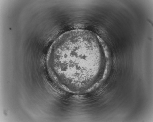 X0000099530367200806131132