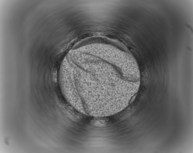 X0000099530368200806131132