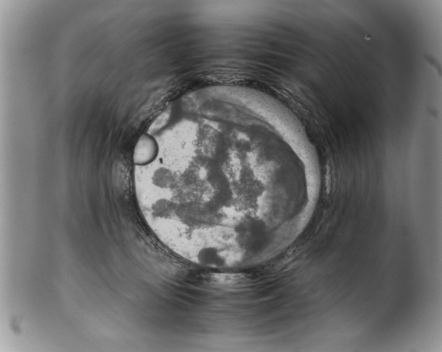 X0000099530371200806131132