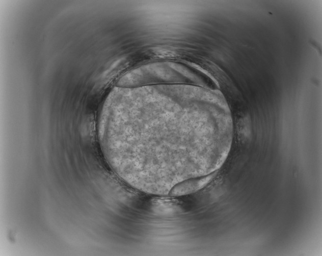 X0000099530372200806131132