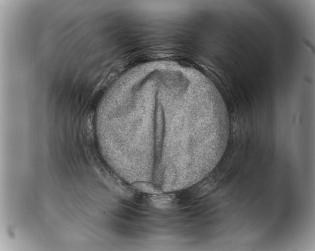 X0000099530373200806131132