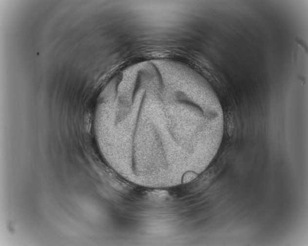 X0000099530374200806131132