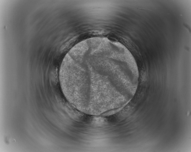 X0000099530376200806131132