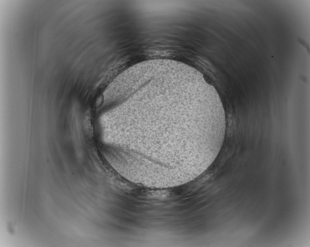 X0000099530377200806131132