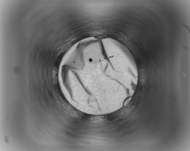 X0000099530378200806131132