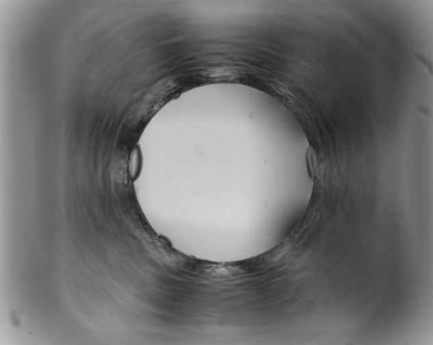 X0000099530379200806131132