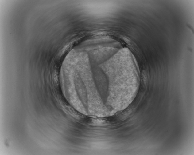 X0000099530380200806131132