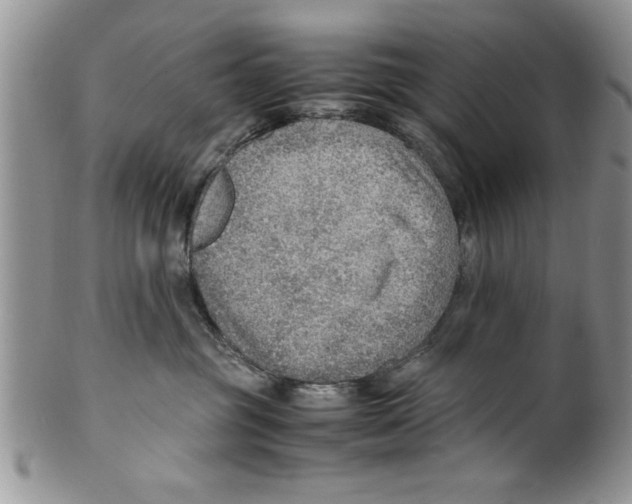 X0000099530381200806131132