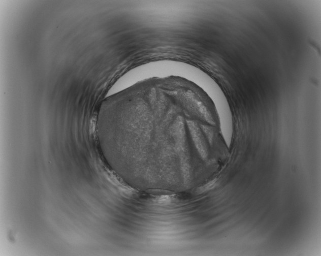 X0000099530382200806131132