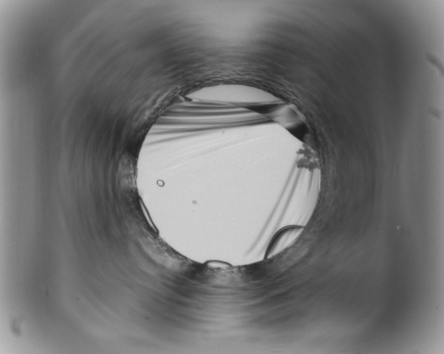 X0000099530384200806131132