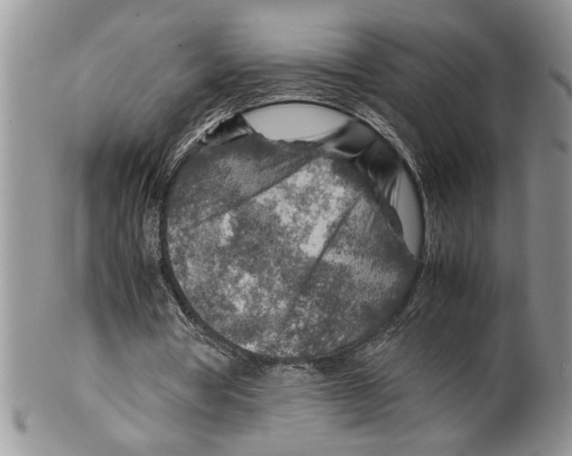 X0000099530386200806131132