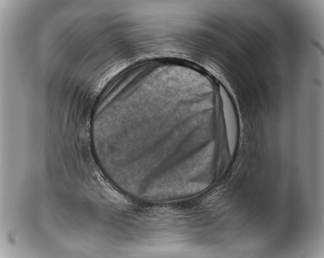 X0000099530389200806131132