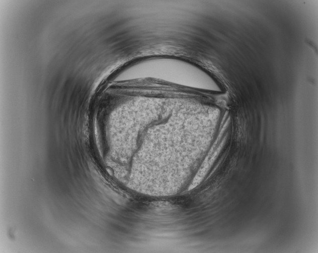 X0000099530392200806131132