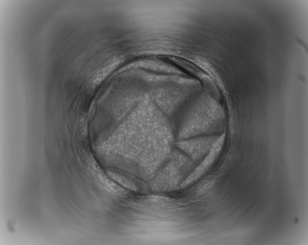 X0000099530393200806131132