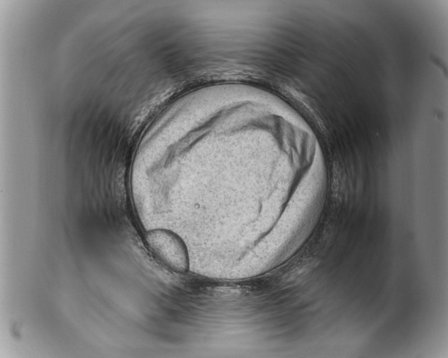 X0000099530394200806131132