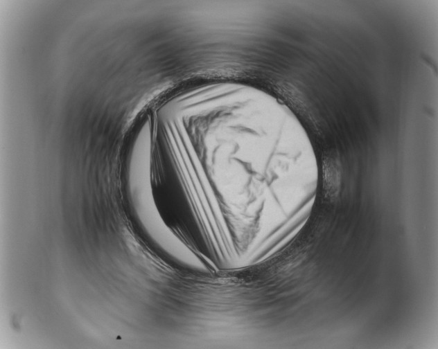 X0000099530396200806131132