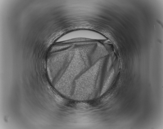 X0000099530397200806131132