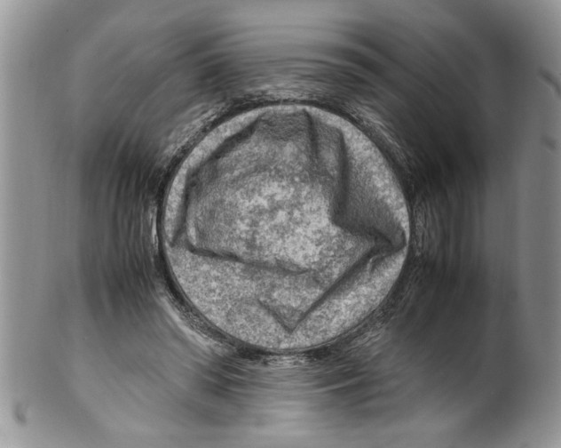 X0000099530398200806131132