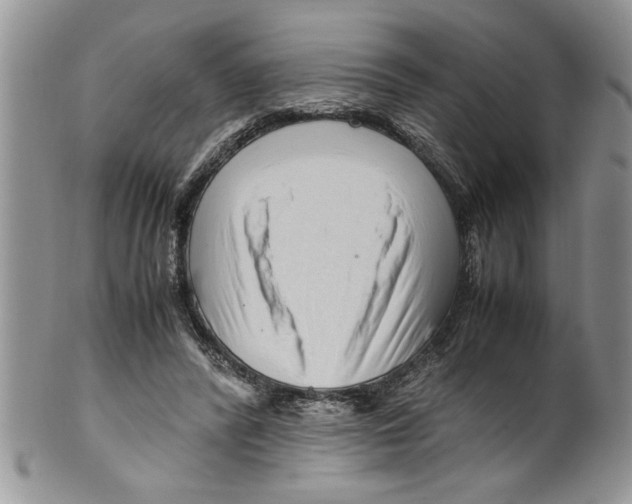 X0000099530400200806131132