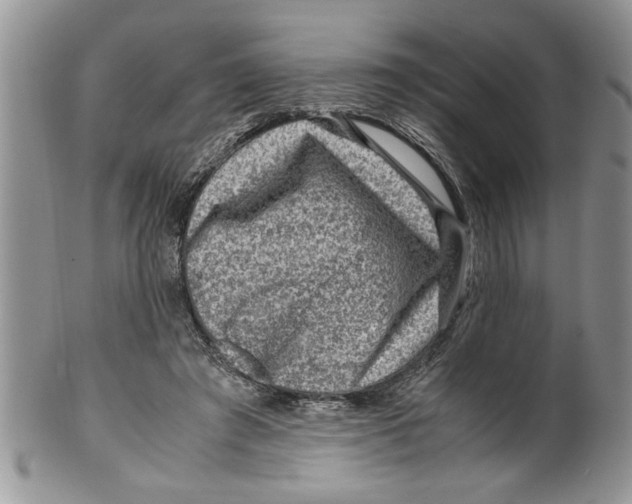 X0000099530401200806131132