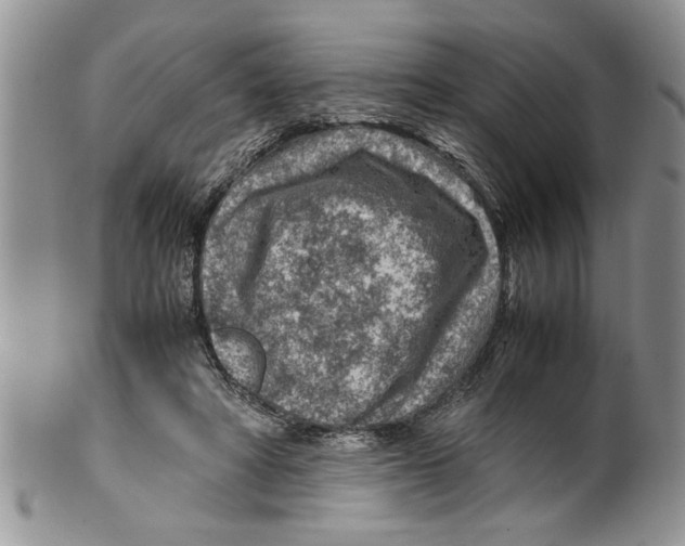 X0000099530402200806131132