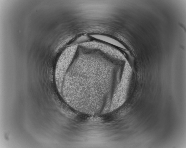 X0000099530403200806131132