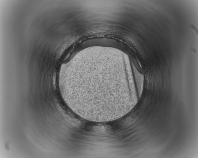 X0000099530404200806131132