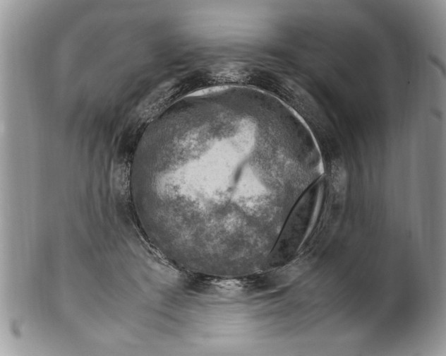 X0000099530409200806131131