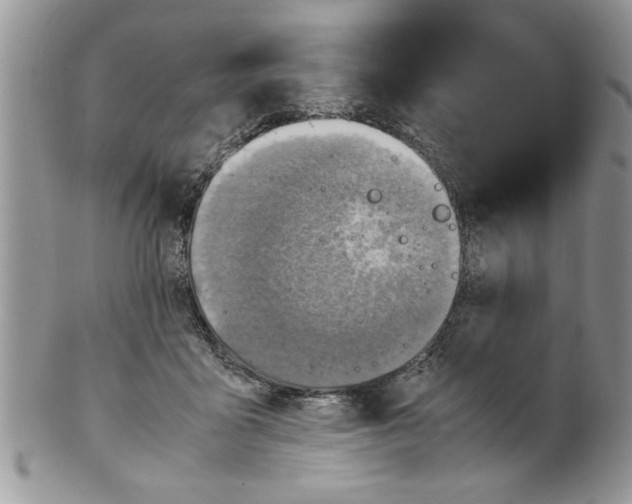 X0000099530411200806131131