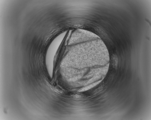 X0000099530412200806131131