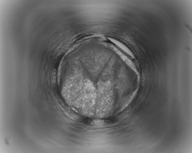 X0000099530413200806131131