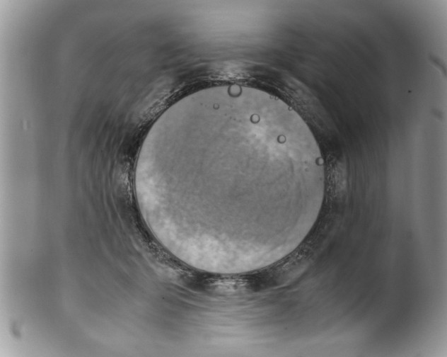 X0000099530415200806131131