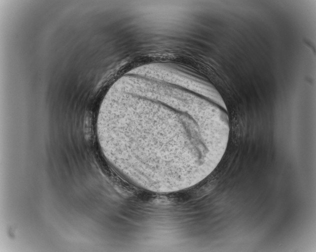 X0000099530416200806131131