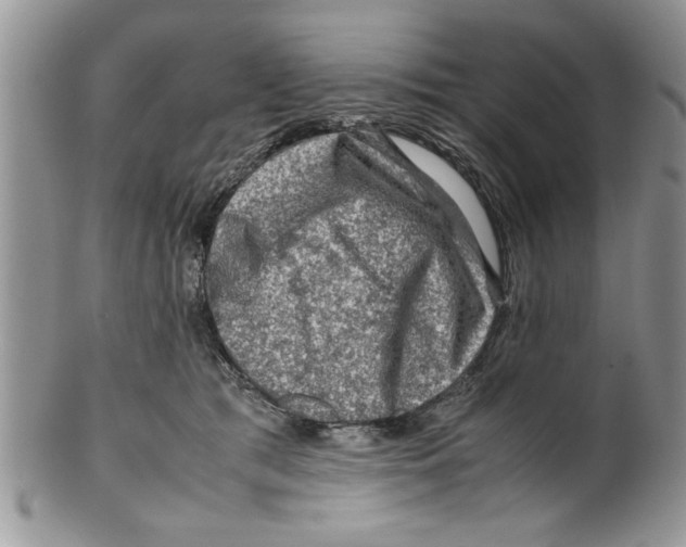 X0000099530417200806131131