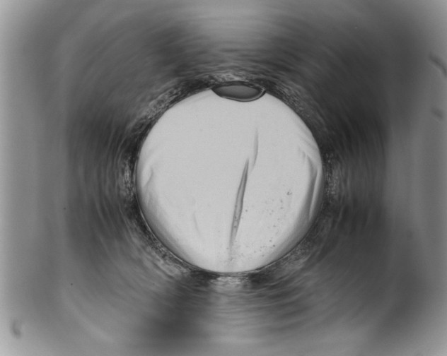 X0000099530418200806131131