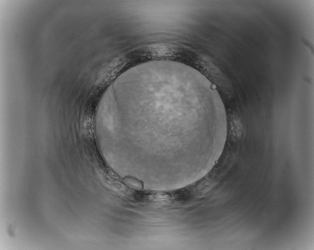 X0000099530419200806131131