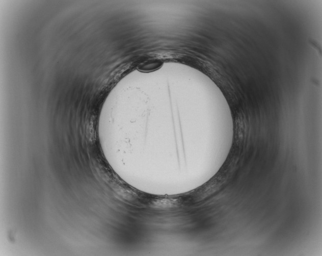 X0000099530422200806131131