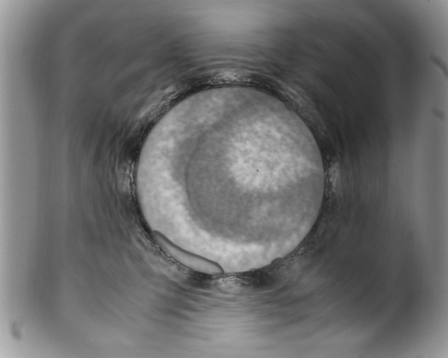 X0000099530423200806131131