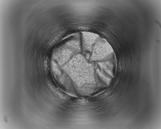 X0000099530424200806131131