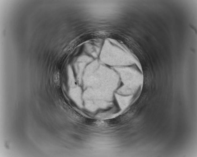 X0000099530425200806131131