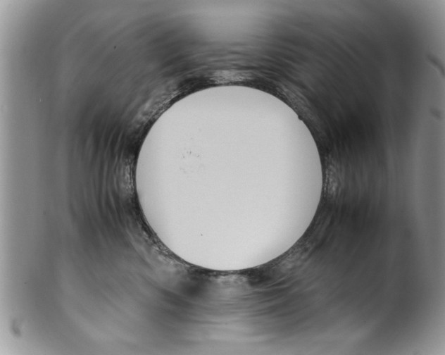 X0000099530426200806131131