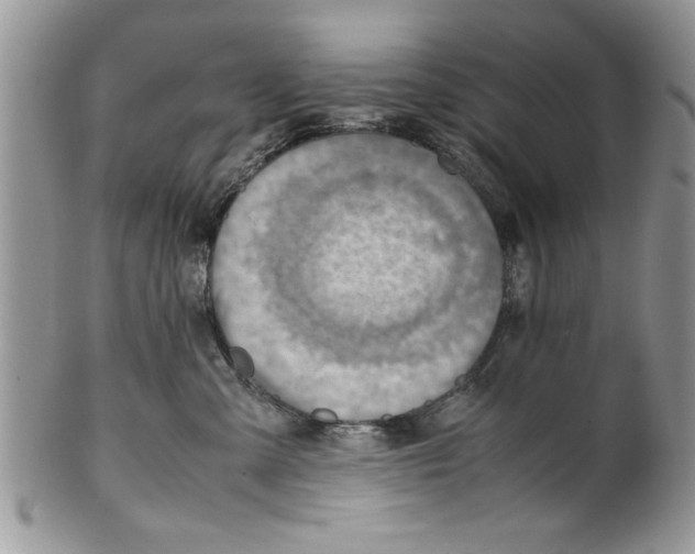 X0000099530427200806131131