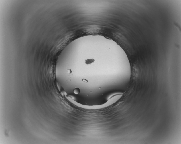 X0000099530428200806131131