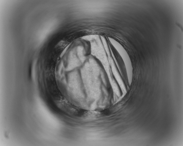 X0000099530429200806131131