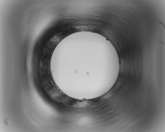 X0000099530430200806131131